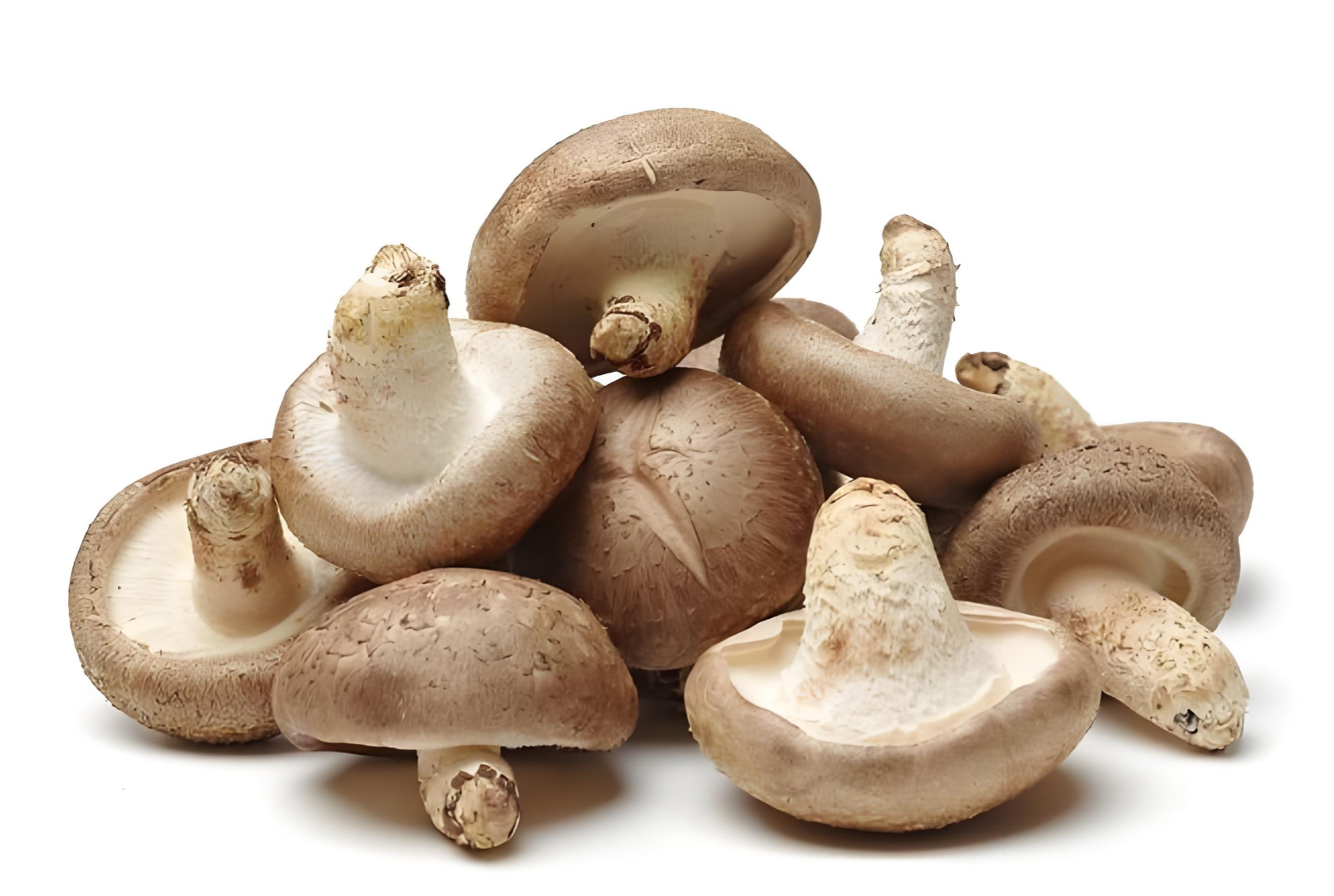 Premium dried Shiitake mushrooms