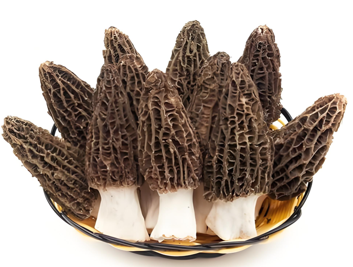 Yunnan Shiitake supplier