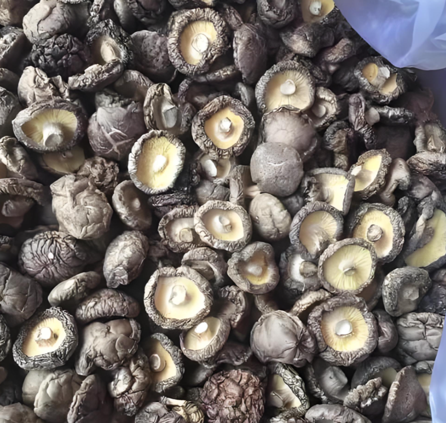 Premium dried Shiitake Premium dried Shiitake