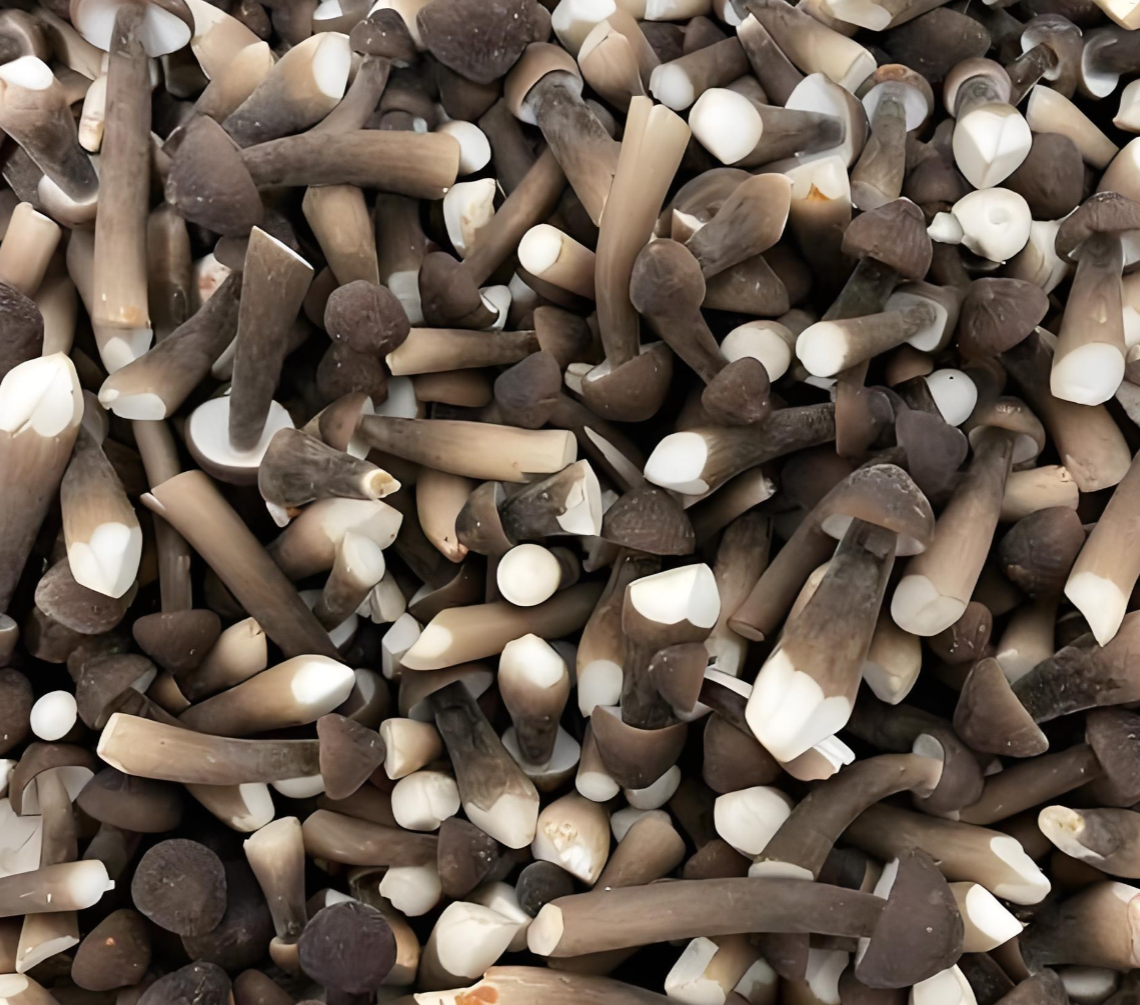 Dried Porcini mushrooms Dried Porcini mushrooms