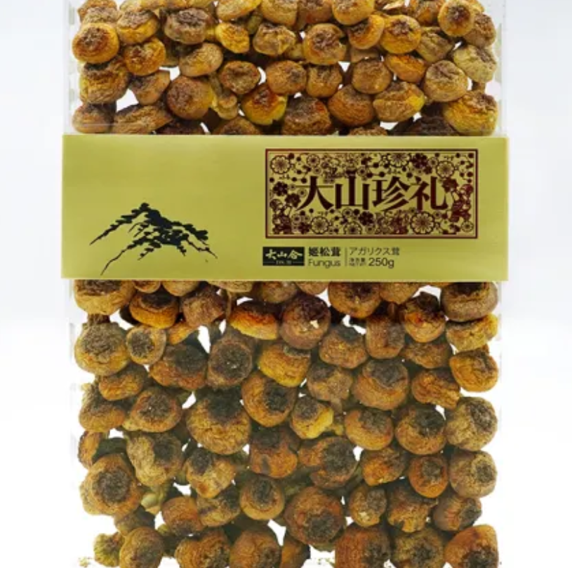 premium dried mushrooms