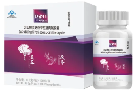 Лекарственные грибы — это природная аптека.