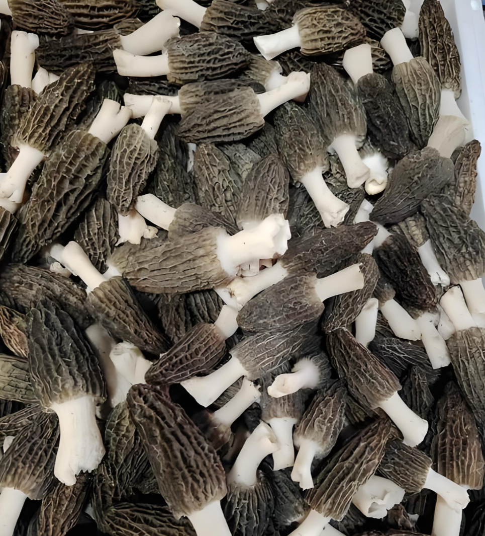 stress relief mushrooms