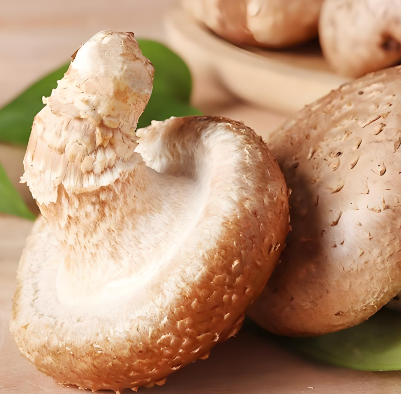 mushroom supplements