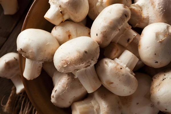 Diferencias entre los hongos orgánicos y los hongos convencionales