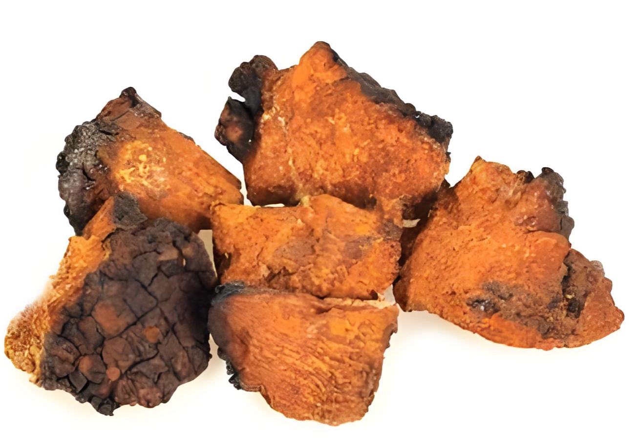 Chaga adaptogen tea