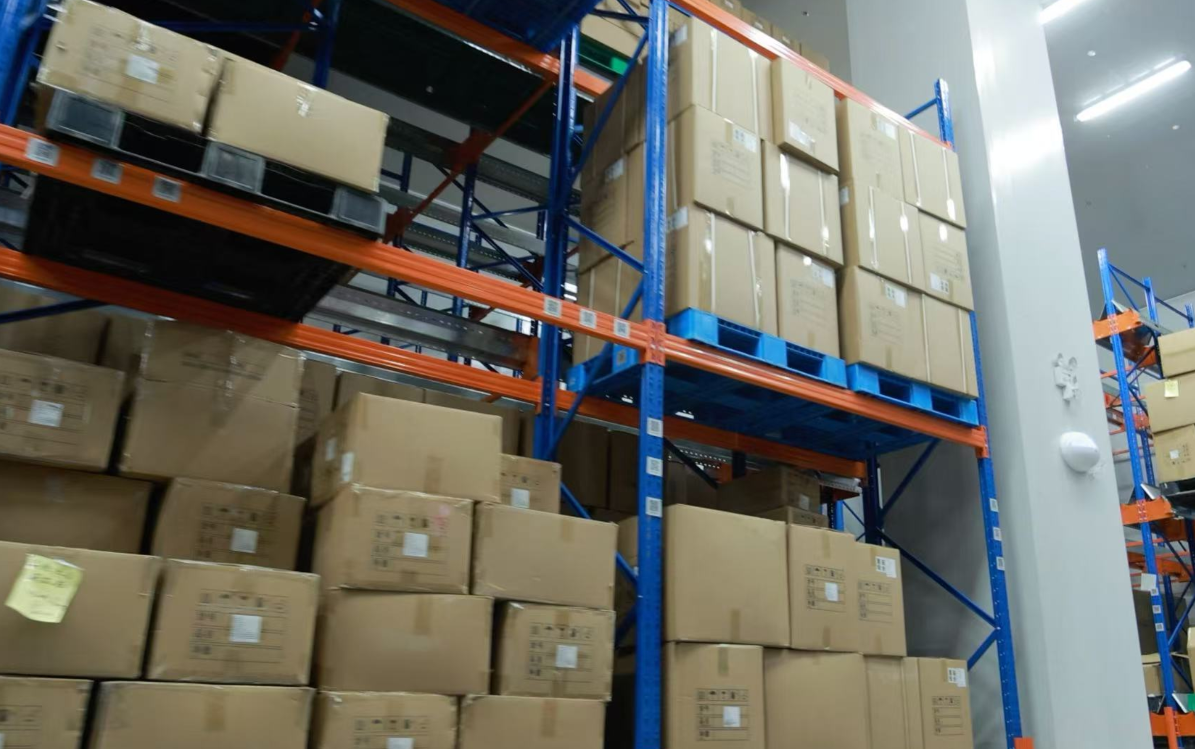 innovative mushroom supplements