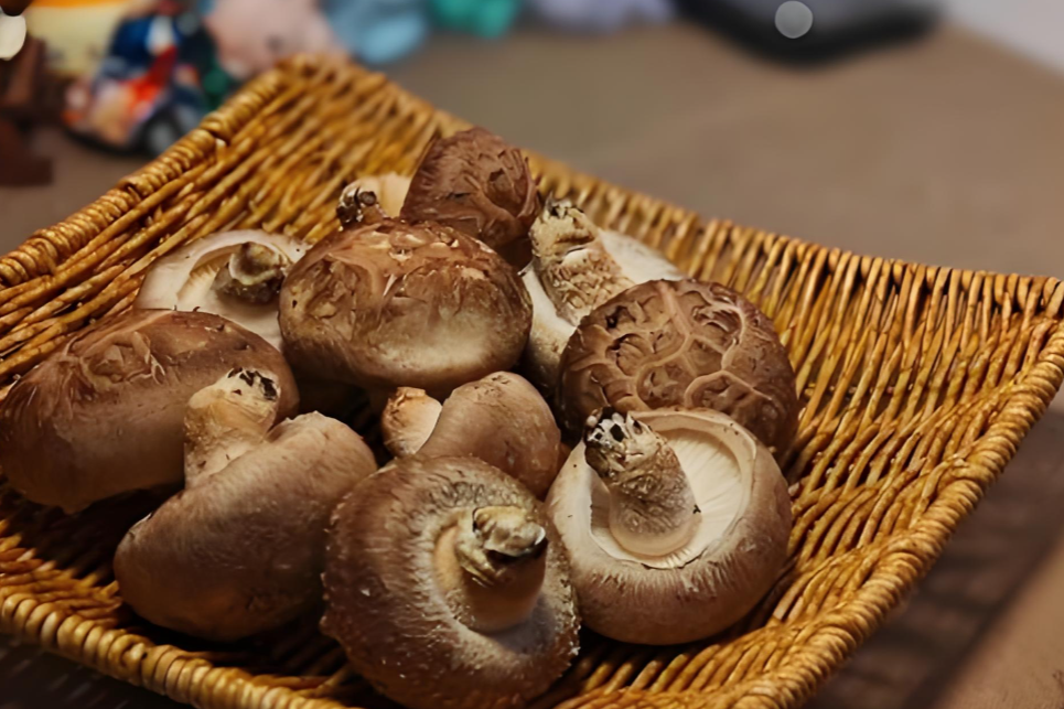 Sustainable food production Sustainable food production