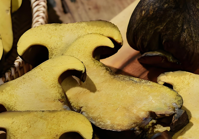 Dashanhe porcini mushrooms