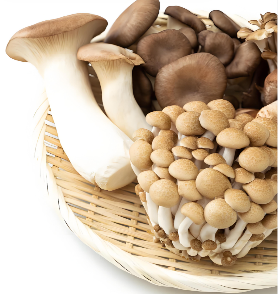 Edible fungi functions