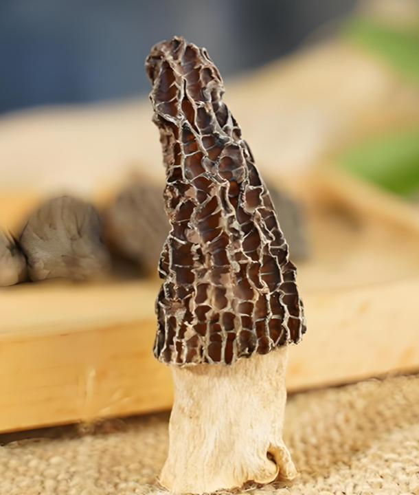premium Matsutake