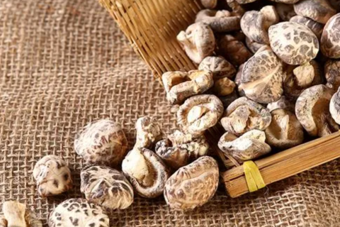 大山河の乾燥小花きのこを選ぶ理由