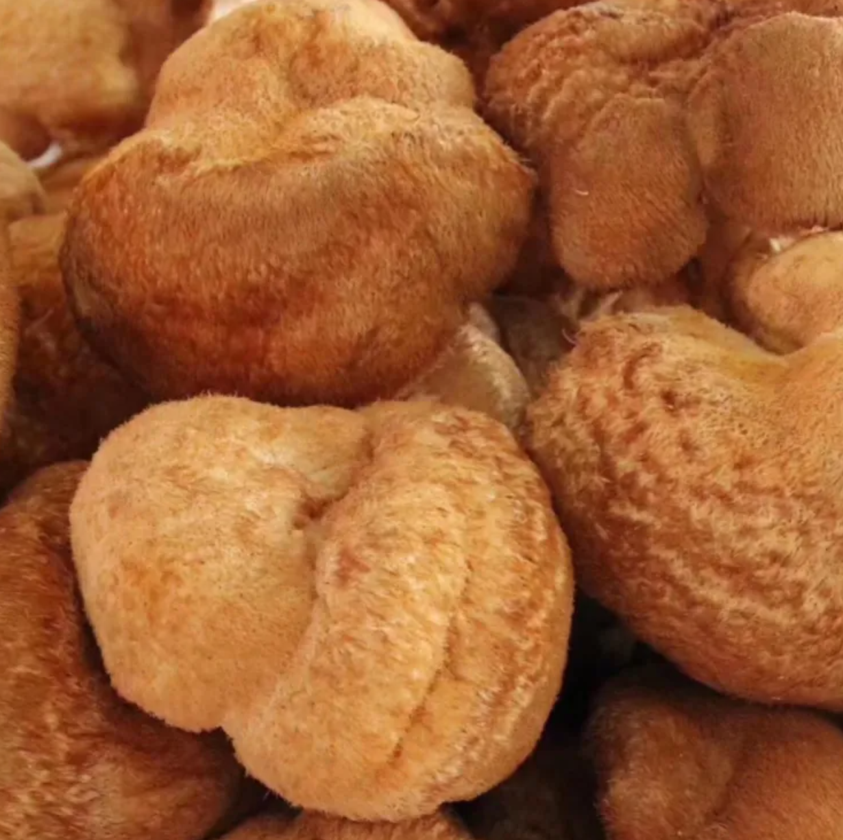 Dashanhe functional food Dashanhe functional food