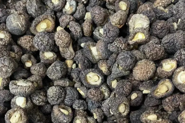 What is Premium Dried Black Fungus