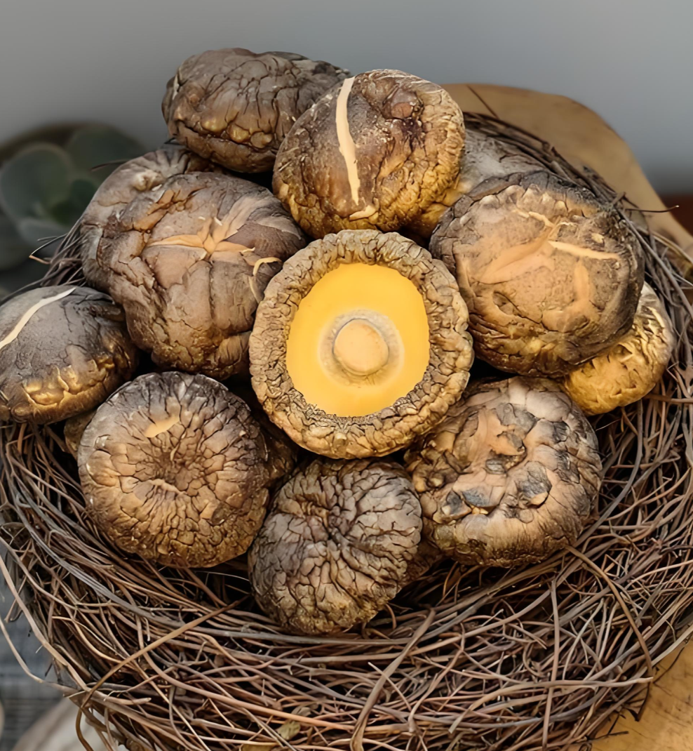 reliable dried mushroom manufacturer