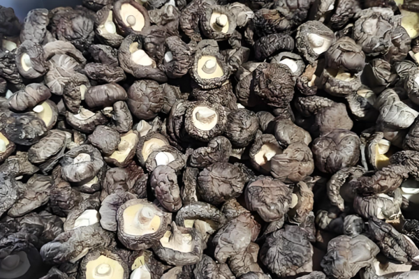 How To Evaluate The Traceability Of A Dried Mushroom Supplier