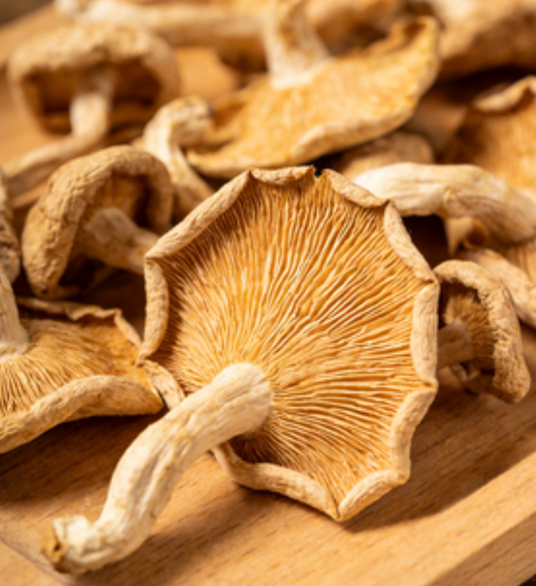 dried mushroom packaging for export