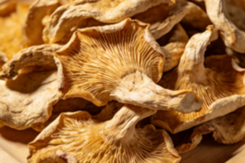 ما الذي يجب على المشترين الدوليين التحقق منه قبل استيراد منتجات الفطر المجفف؟