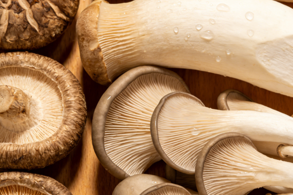 Comment évaluer les délais de livraison et les capacités de production pour les commandes de produits à base de champignons