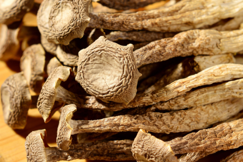 How To Reduce Shipping And Storage Risks For Dried Mushroom Products