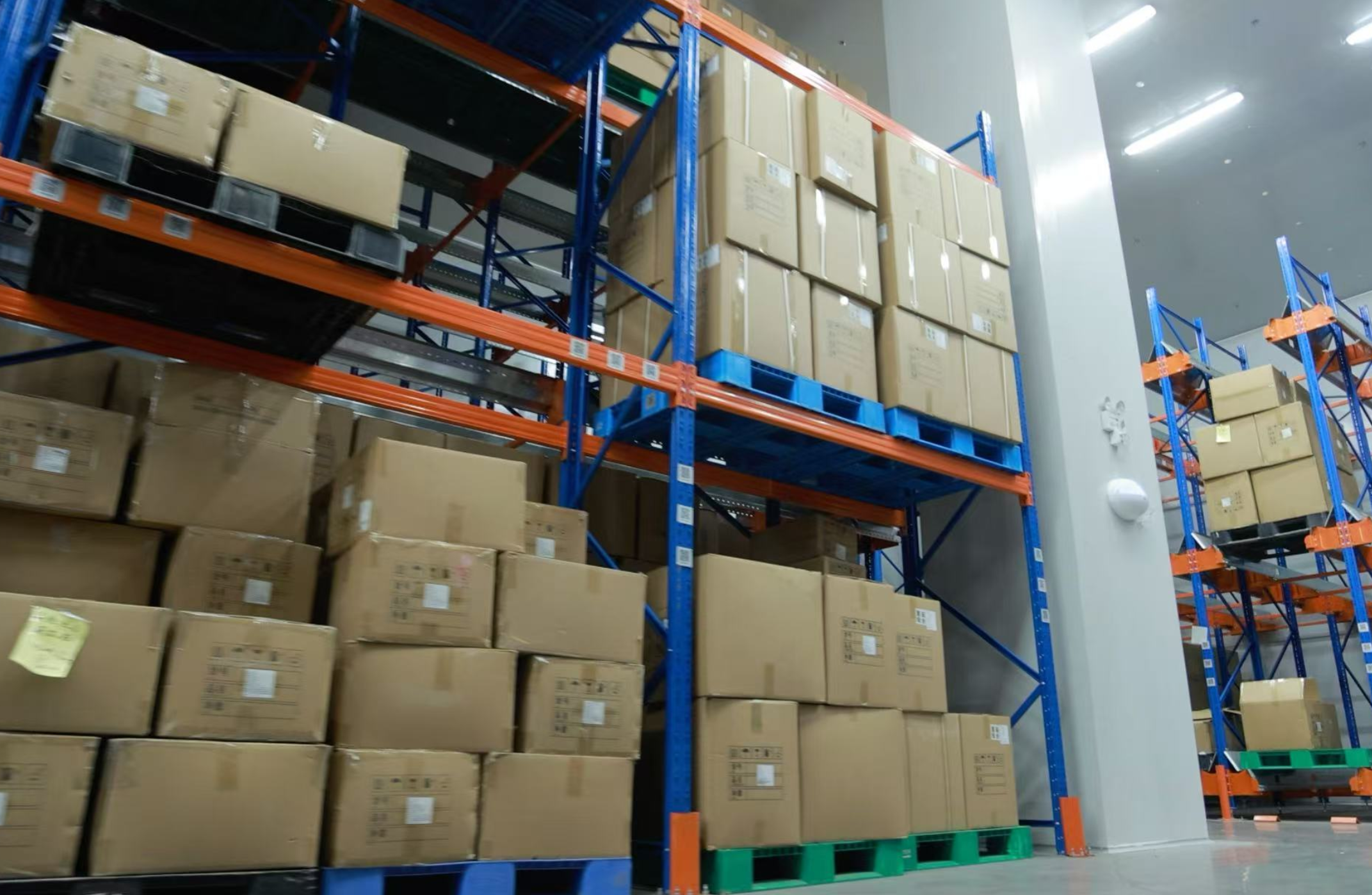 how to choose a mushroom supplier