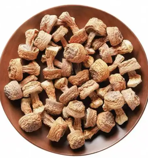 Agaricus blazei health benefits Agaricus blazei health benefits