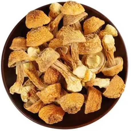 Польза для здоровья Agaricus blazei и спрос на мировом рынке