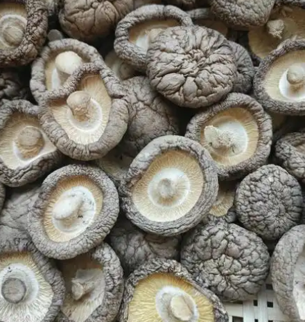 Oven-dried shiitake mushrooms Oven-dried shiitake mushrooms