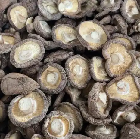 Export dried shiitake Export dried shiitake
