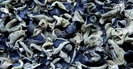 Hongo negro (oreja de madera): fuente de nutrientes y ingrediente culinario versátil.