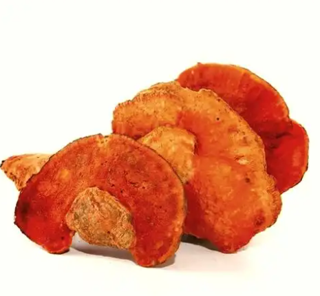 La popularité croissante du champignon corne de cerf à l'échelle mondiale