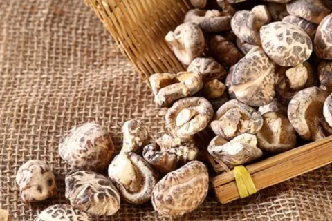What Makes Small Flower Mushroom More Attractive For High-End Export And Gift Markets