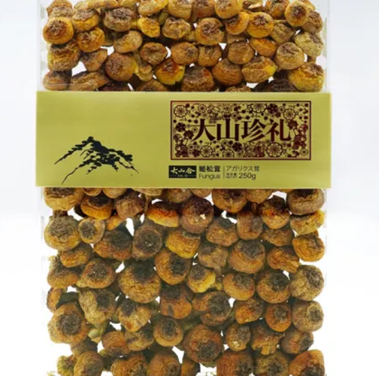 Agaricus subrufescens