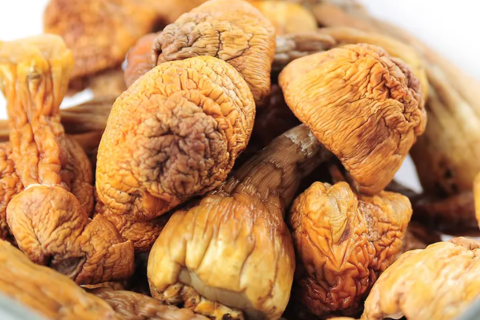 How Agaricus Subrufescens Supports The Development Of Premium Wellness And Functional Products