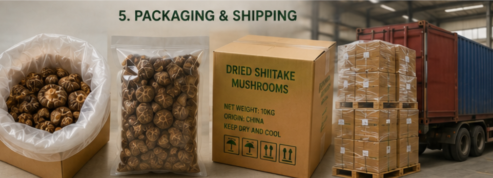dried shiitake mushroom bulk dried shiitake mushroom bulk