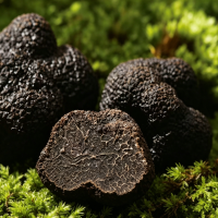 Black Truffle Matsutake Umami Seasoning 100g Gourmet Mushroom Seasoning