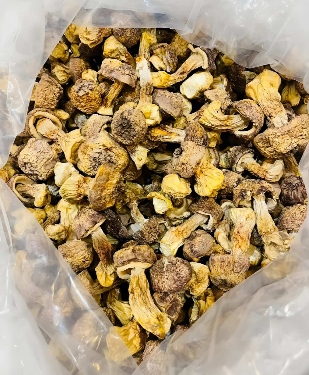 mixed dried mushroom supplier mixed dried mushroom supplier