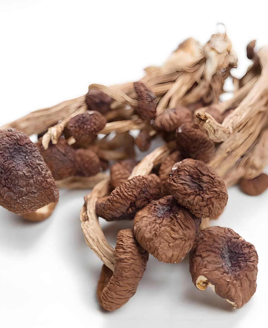 mixed dried mushroom pack supplier mixed dried mushroom pack supplier