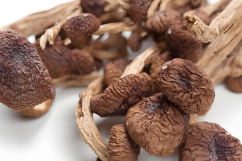 Mixed Dried Mushroom Pack Supplier For Supermarkets And Online Stores