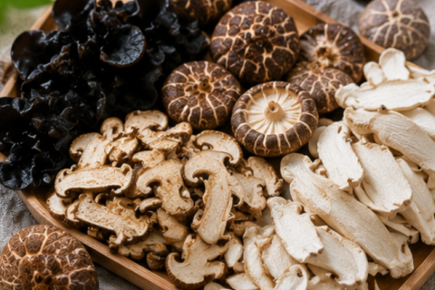Organic Dried Mushrooms Supplier From China For Bulk Import Orders