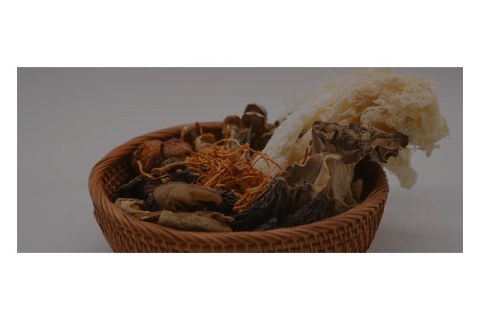 Edible Fungi Product Supplier Evaluation Guide for Overseas Buyers