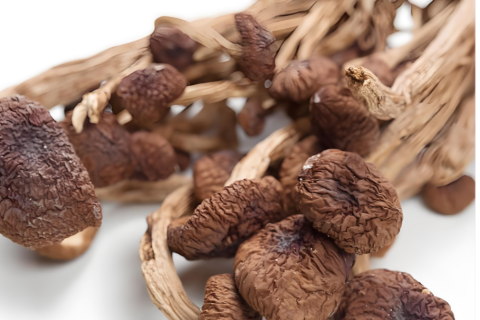 Dried Mushroom Supplier For Asian Grocery Chains And Supermarkets