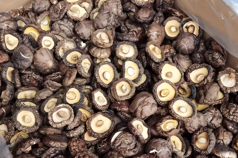 Wholesale Dried Shiitake Mushrooms For Foodservice And Catering Companies