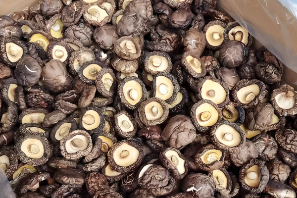 Wholesale Dried Shiitake Mushrooms For Foodservice And Catering Companies