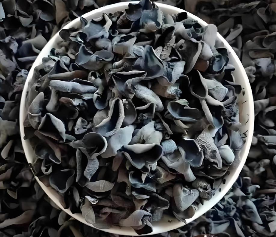 black fungus supplier China
