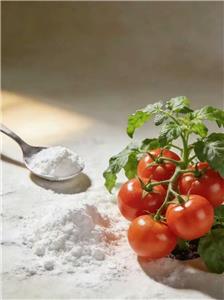 Small Dosage, High Return: Magnesium Sulfate Maximizes the Cost-Effectiveness of Magnesium Supplementation