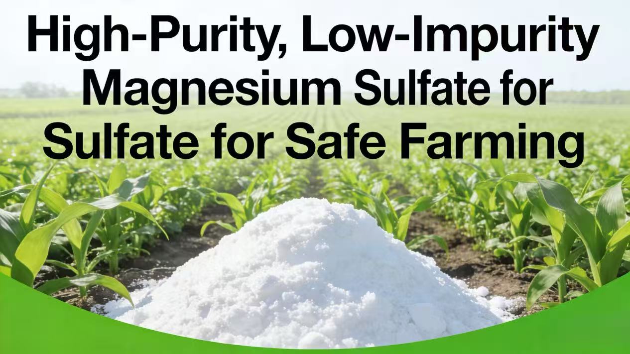 High-Purity, Low-Impurity Magnesium Sulfate for Safe Farming