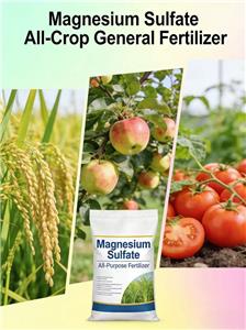 Versatile Magnesium Sulfate Fertilizer: One Solution for Grains, Fruits and Vegetables