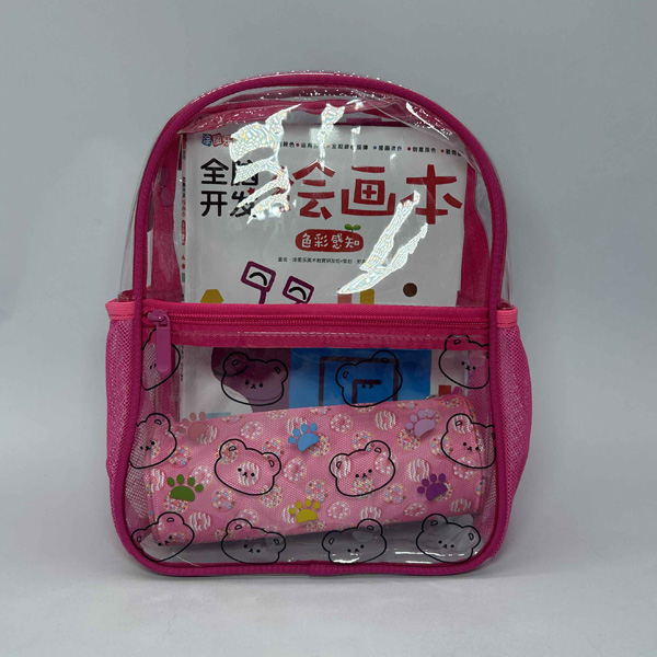 Transparent school bag Transparent school bag