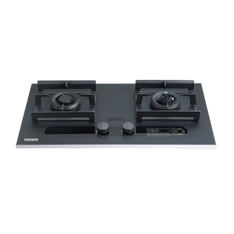 Modern Luxury Smart 2 Burner Cooking Gas Stoves